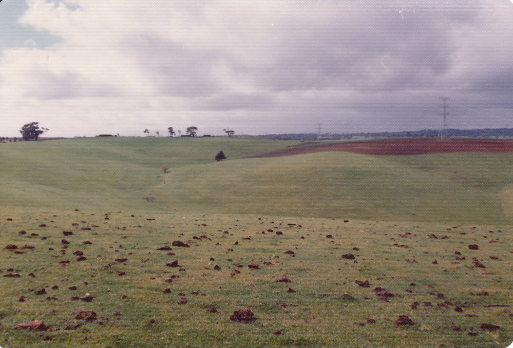 Gould Creek Property