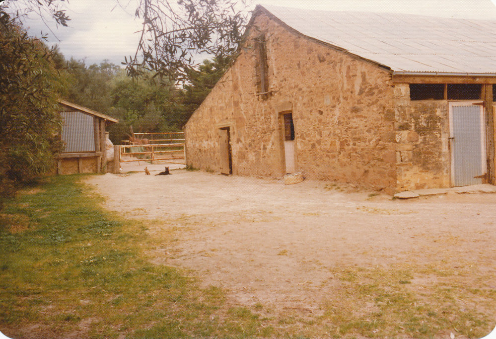 Gould Creek Property