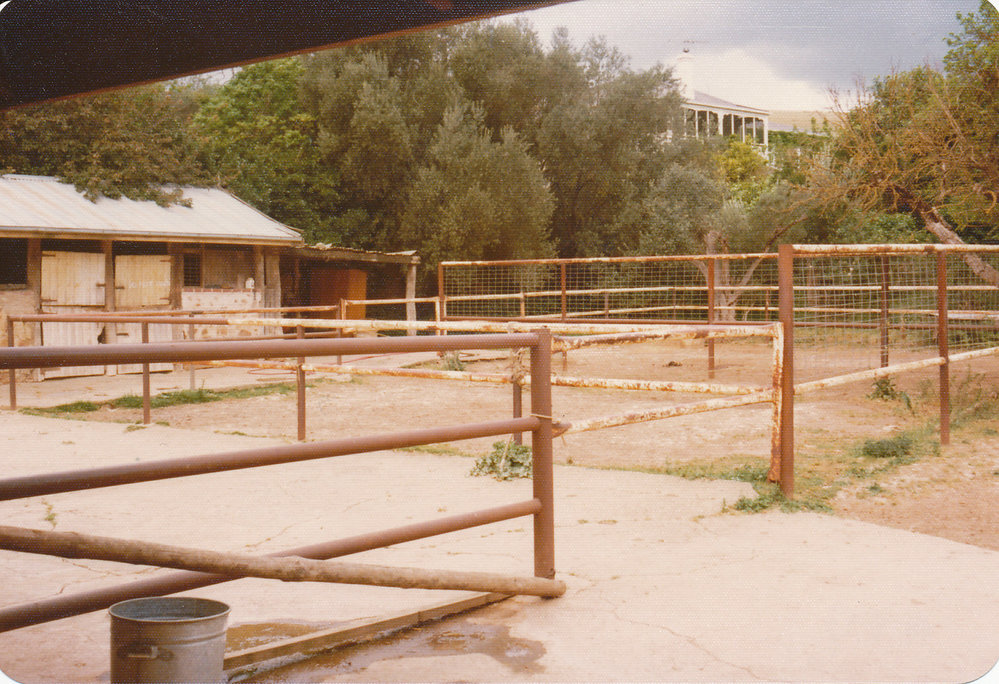 Gould Creek Property