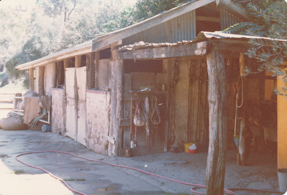 Gould Creek Property