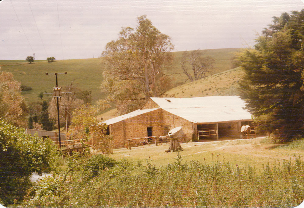 Gould Creek Property