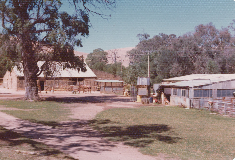 Gould Creek Homestead