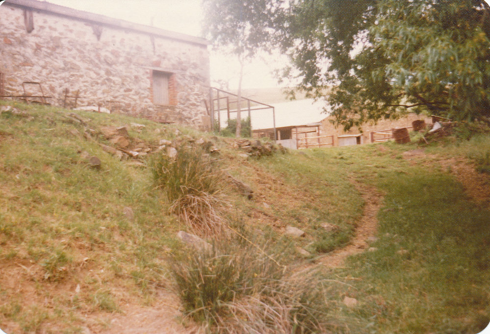 Gould Creek Property