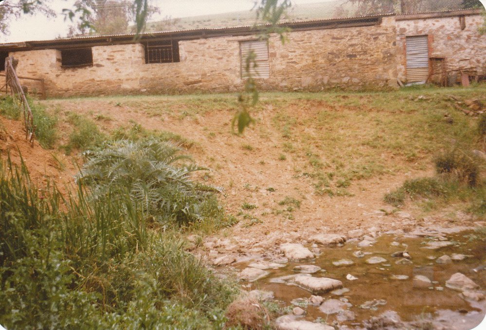 Gould Creek Homestead