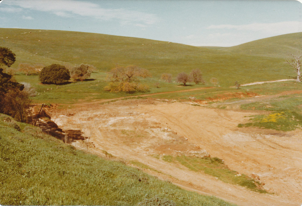 Gould Creek Homestead