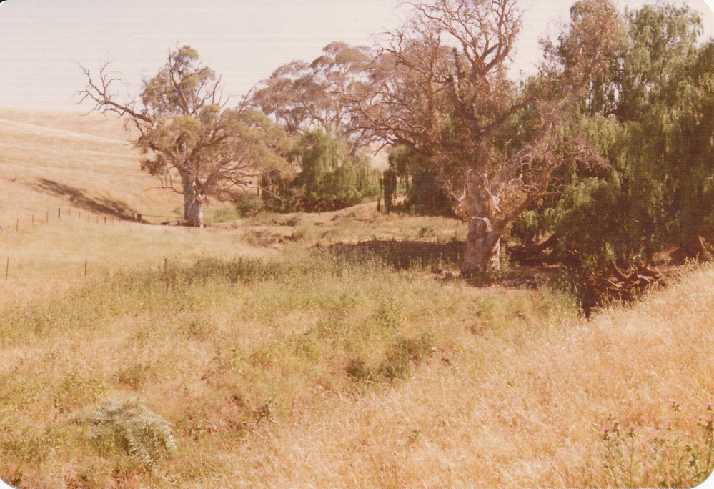 Gould Creek Property