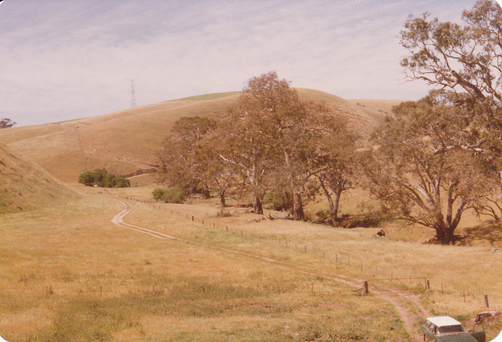 Gould Creek Property