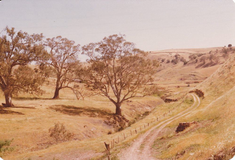 Gould Creek Property