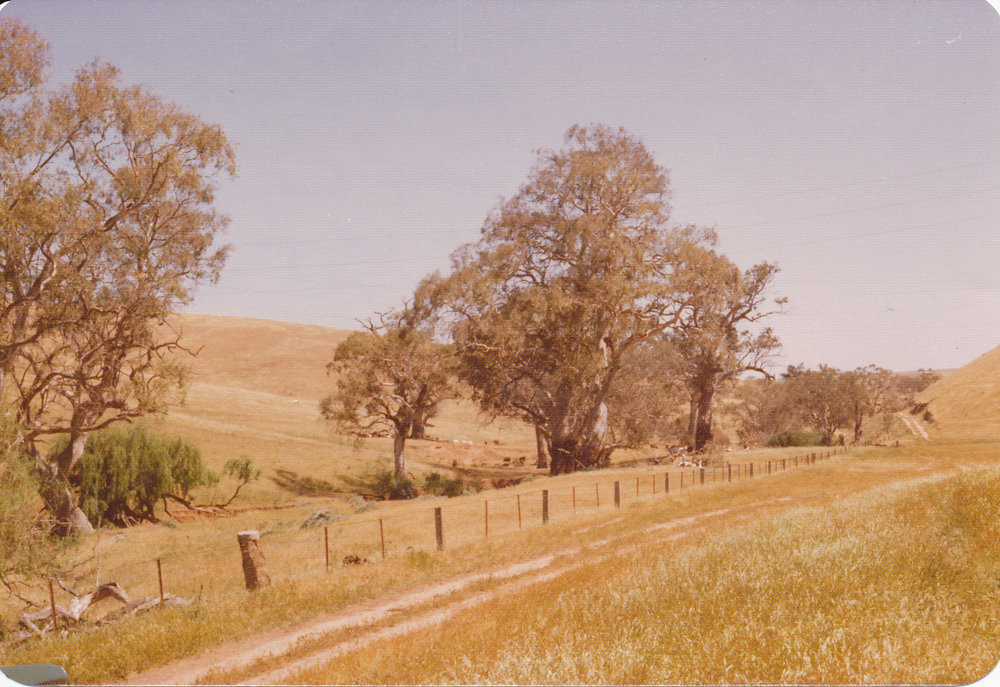 Gould Creek Property