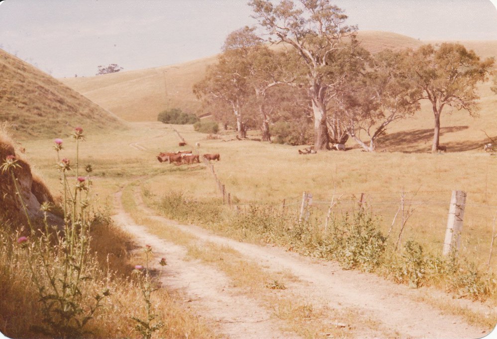 Gould Creek Homestead