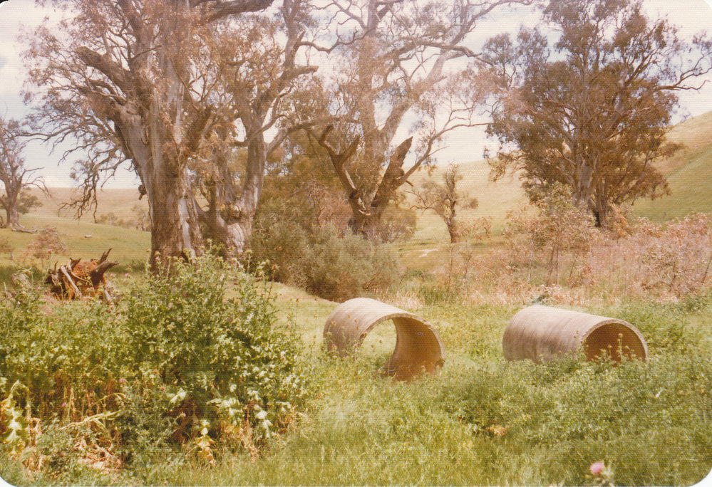 Gould Creek Homestead