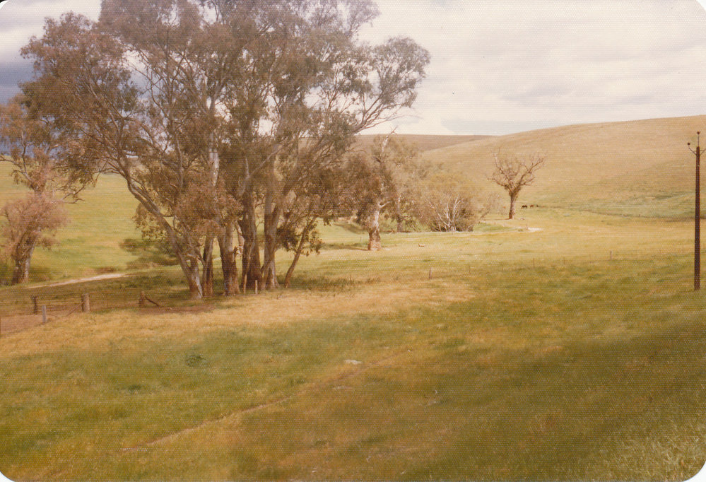 Gould Creek Homestead