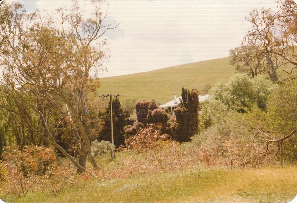 Gould Creek Homestead