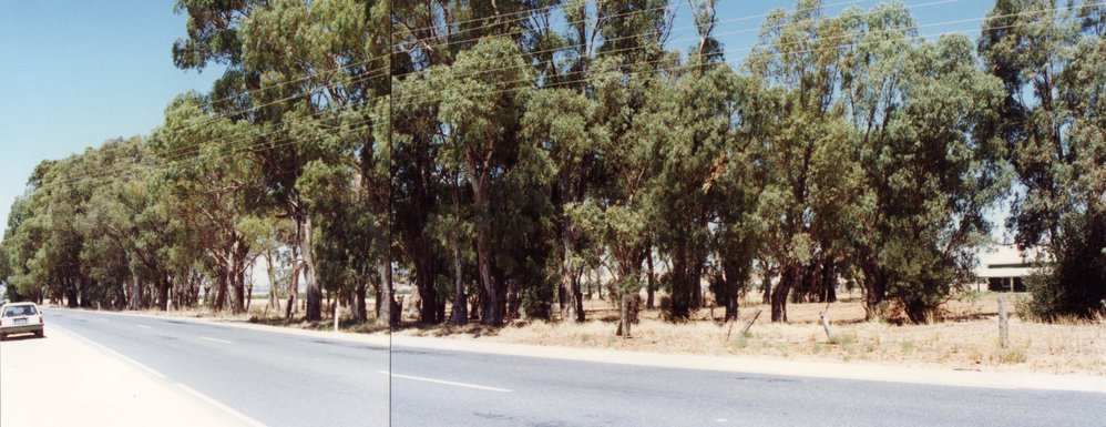 Krudop Homestead, Angle Vale