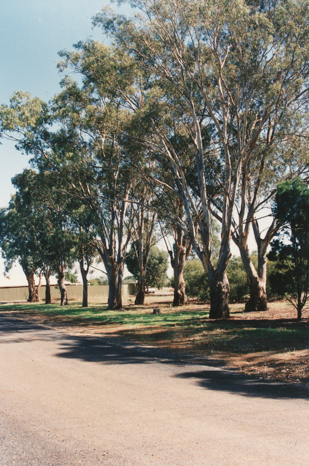 Augusta Square, Smithfield