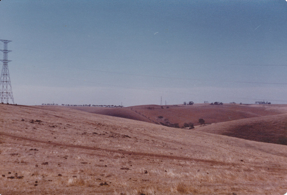 Gould Creek homestead, One Tree Hill