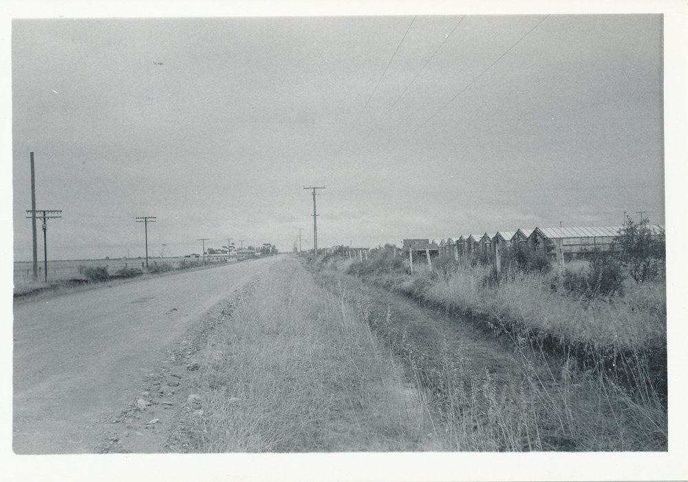 Virginia glasshouses