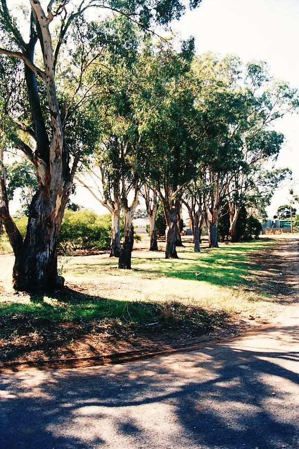 Augusta Square, Smithfield