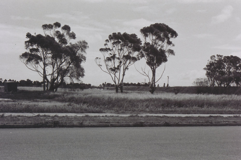 Elizabeth Bowling Club