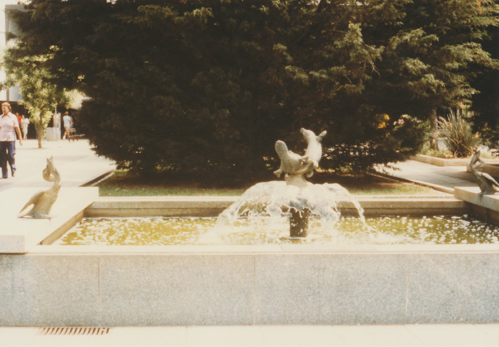 John Dowie Sculpture, Elizabeth Town Centre