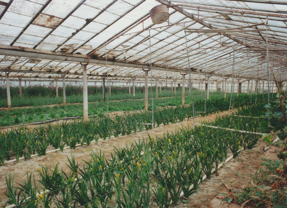 Virginia Market Gardens