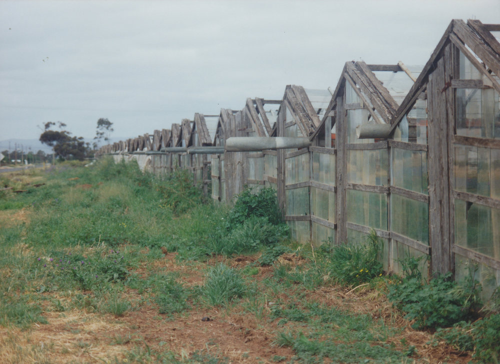 Virginia Market Gardens