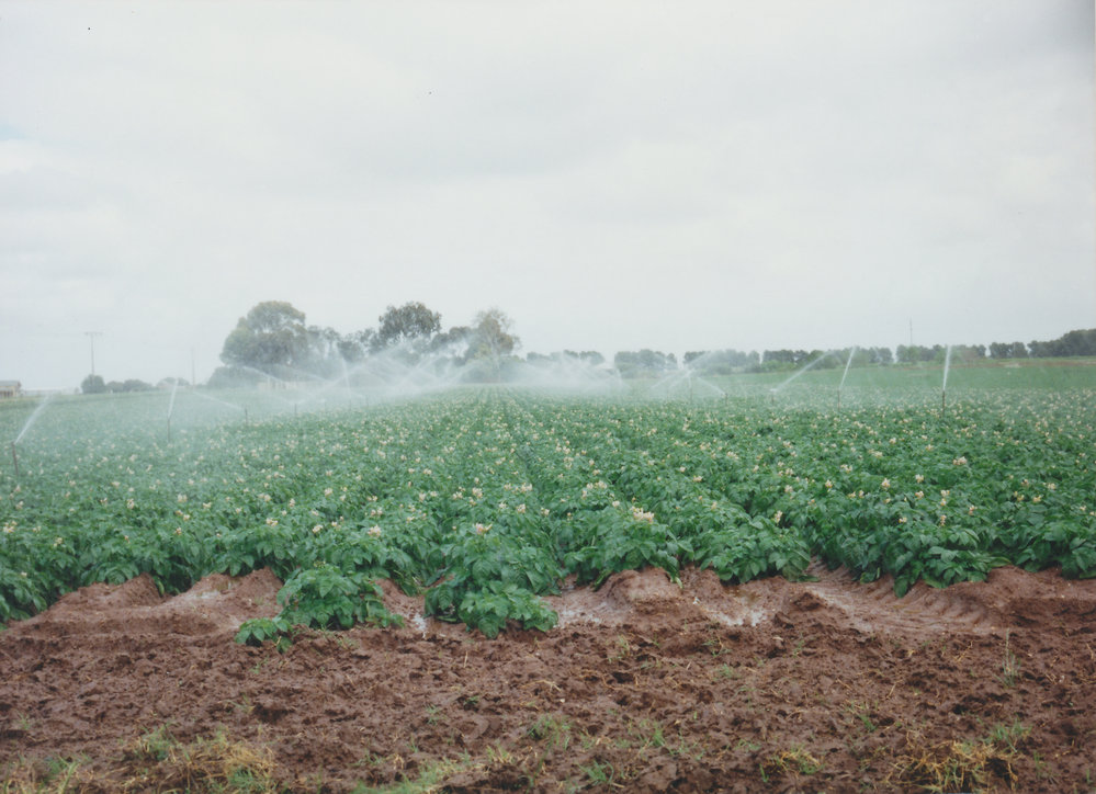 Virginia Market Gardens