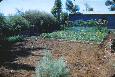Elizabeth Nursery
