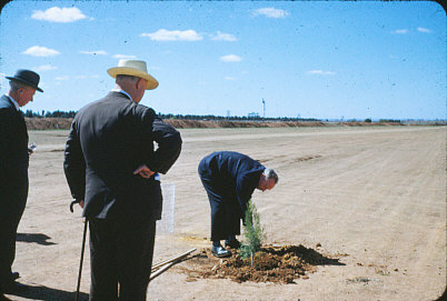 Sir Thomas Playford Plants Tree