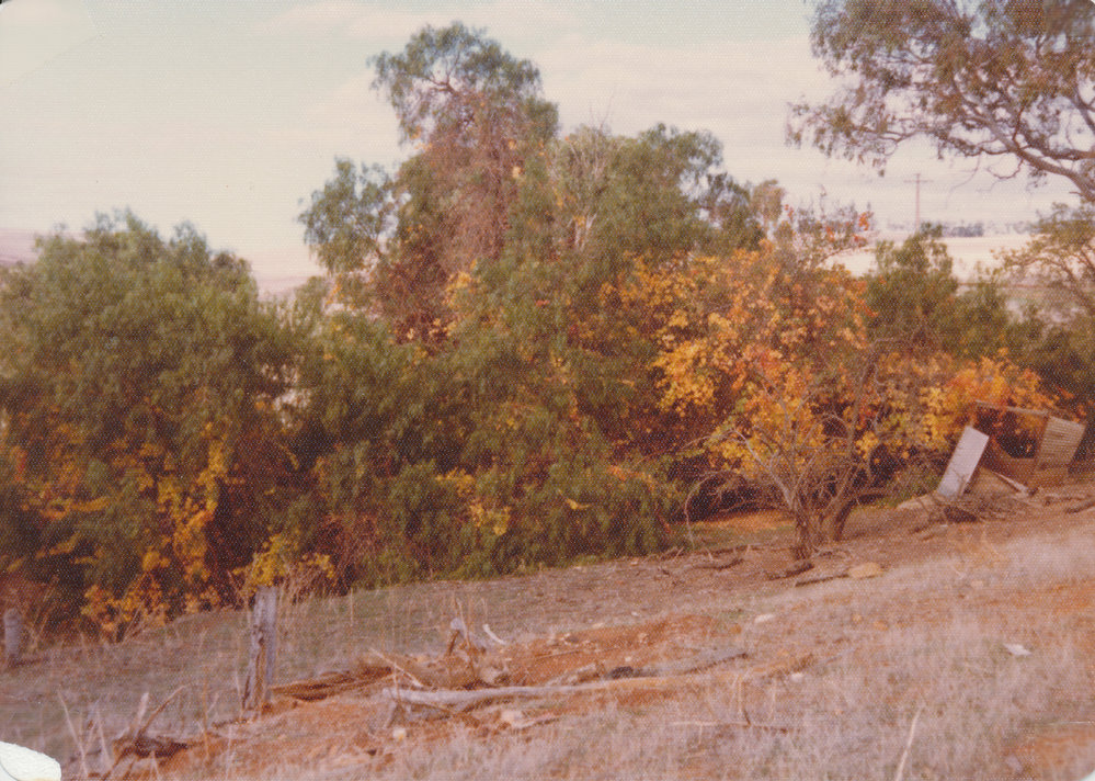 Blair Place, Smithfield