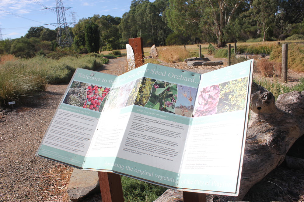 Little Para Seed Orchard