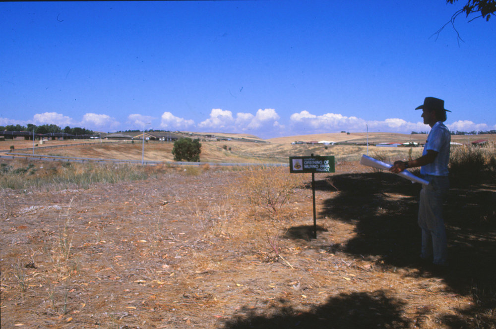 Greening of Munno Para