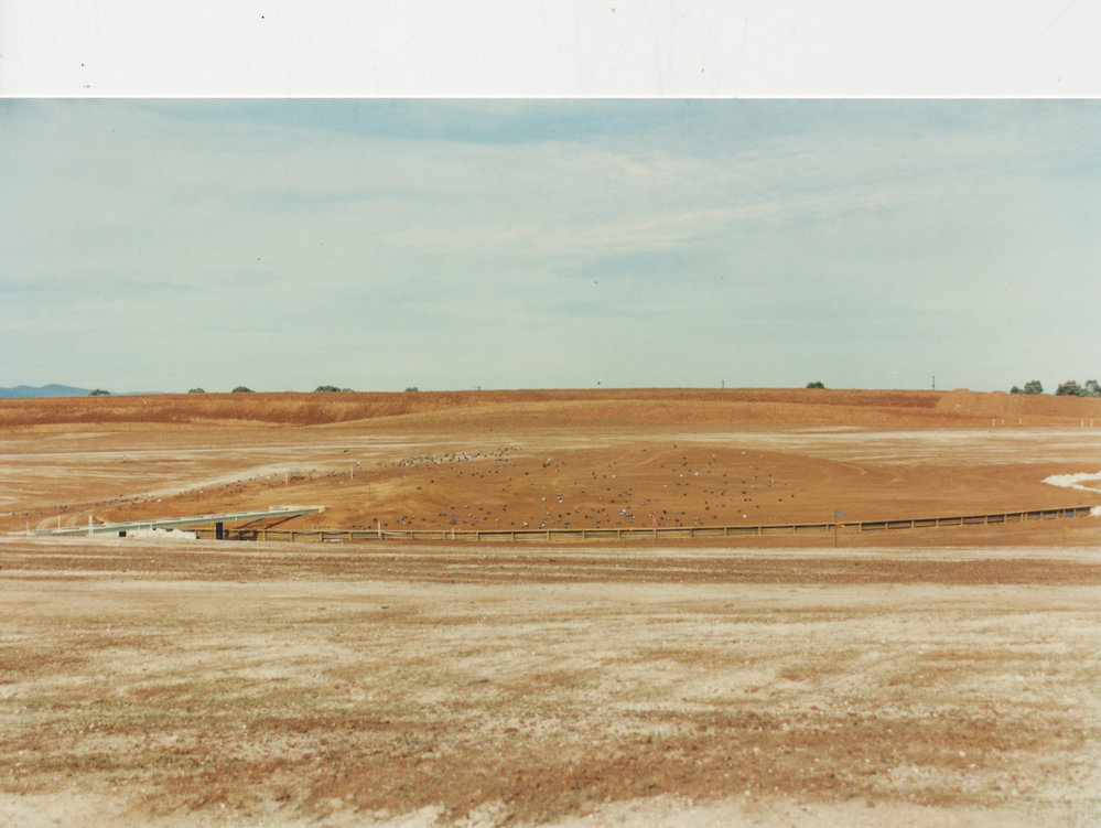 Stebonheath Wetlands Munno Para