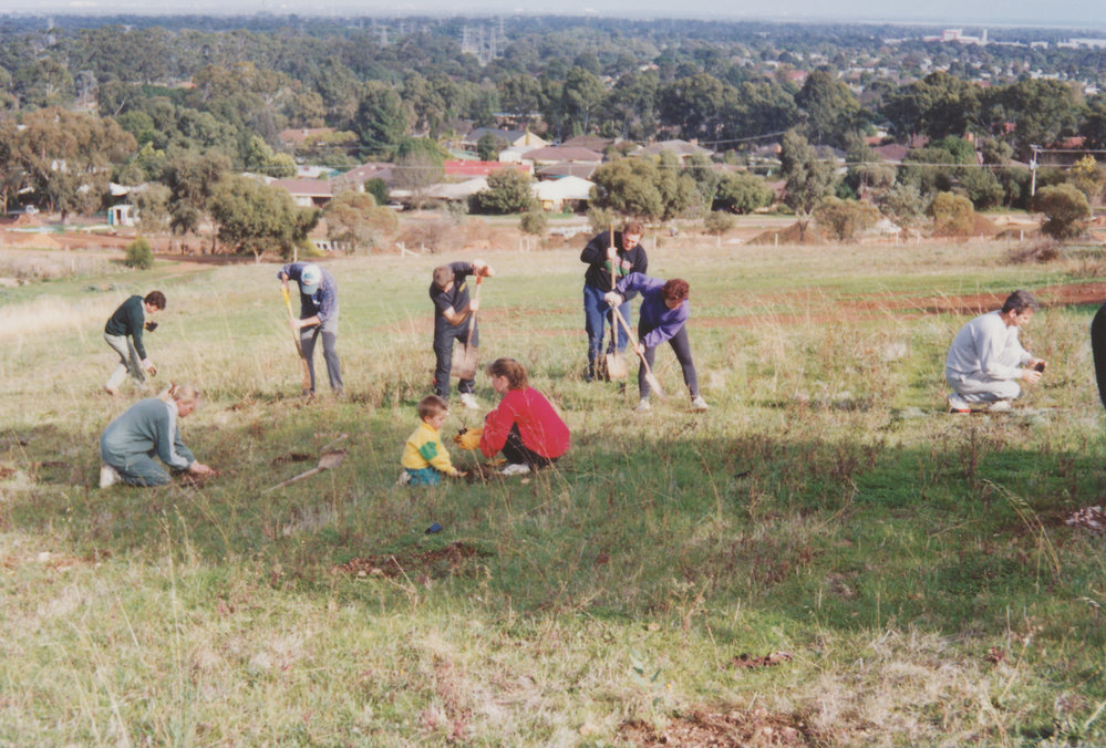 Greening of Munno Para