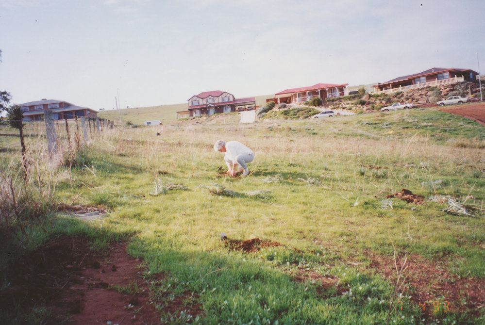 Greening of Hillbank