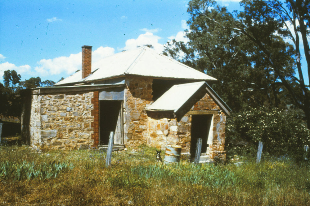 Precolumb school, One Tree Hill
