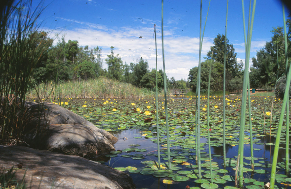 Smithfield Memorial Park Cemetery