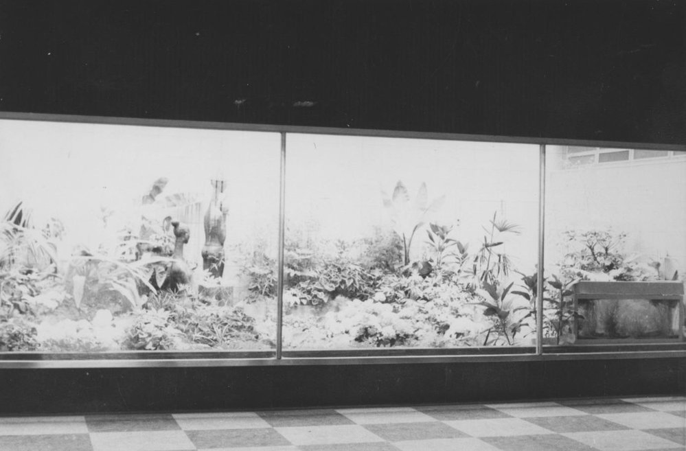 Atrium, Elizabeth Shopping Centre