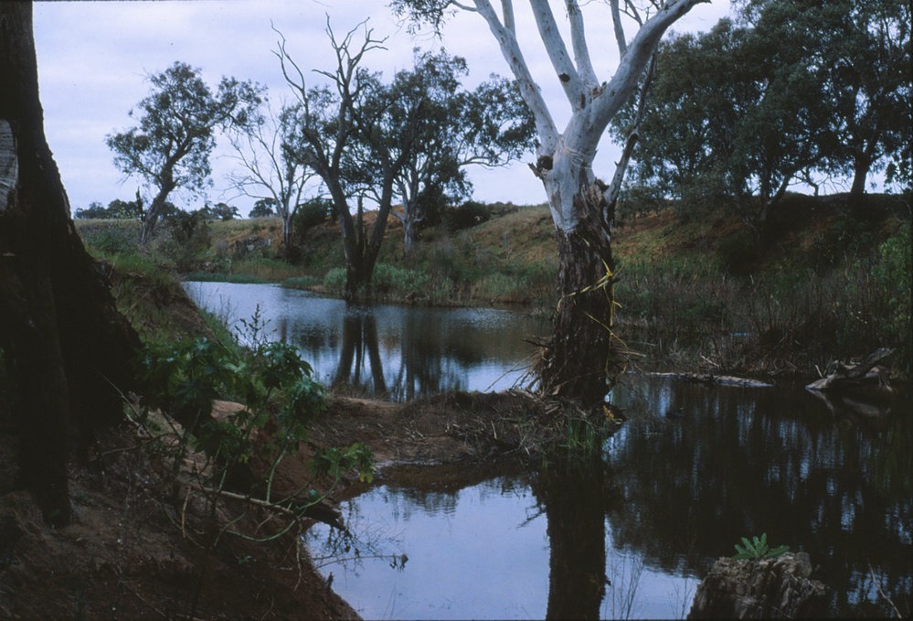 Gawler River