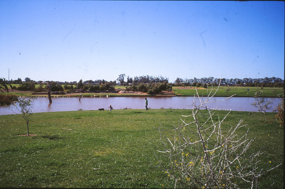 Stebonheath Wetlands Munno Para