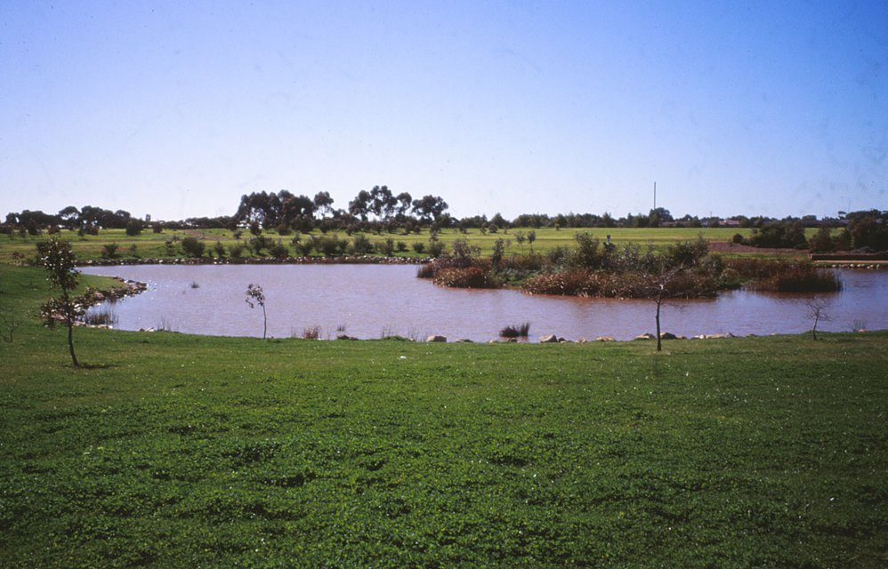 Stebonheath Wetlands Munno Para