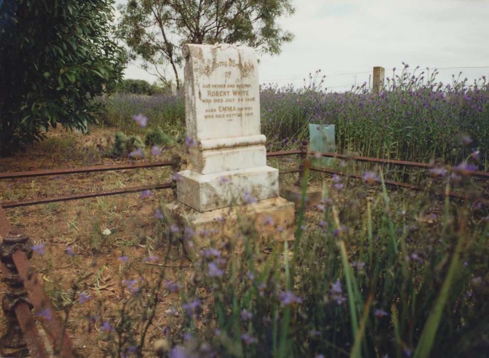 Carclew Cemetery: Robert White