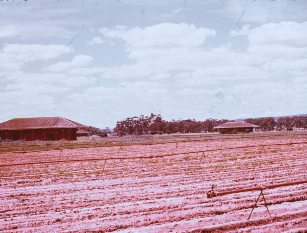 Smithfield Munitions Factory Site