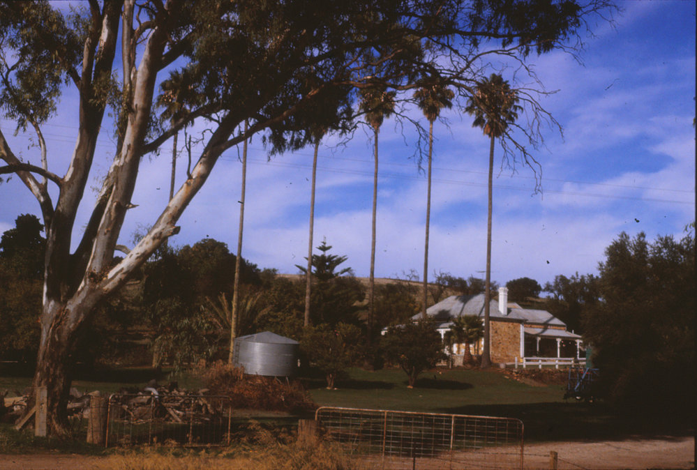 Burdon Home, One Tree Hill
