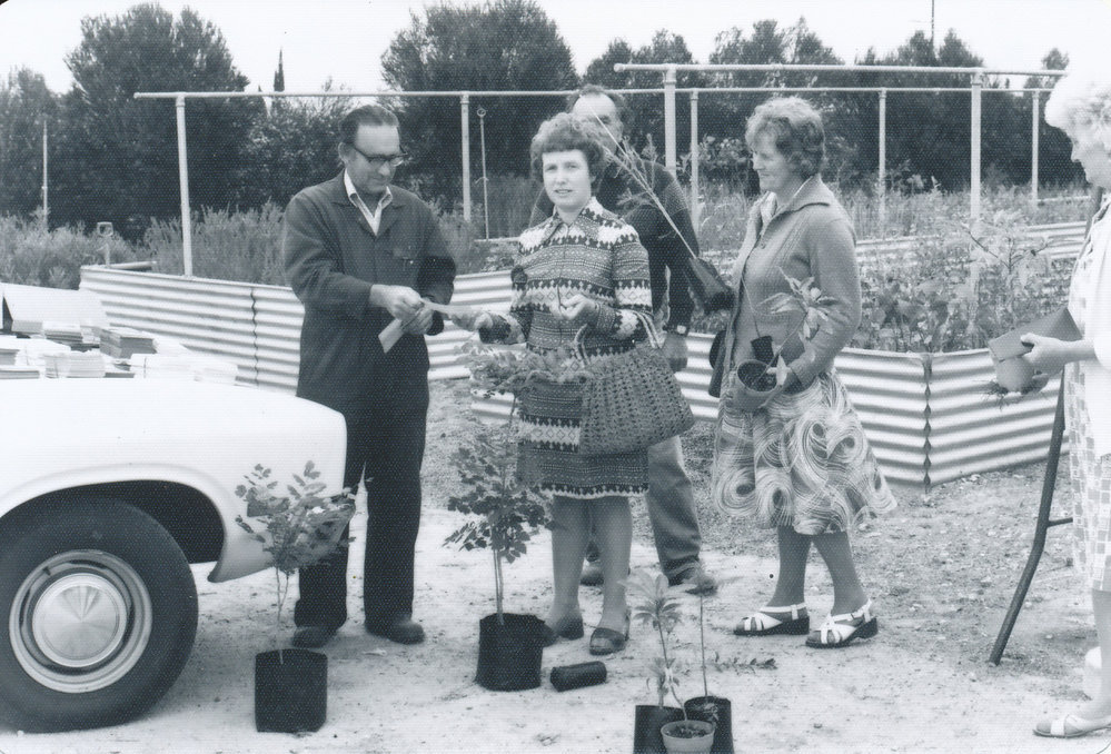 Munno Para Council Nursery