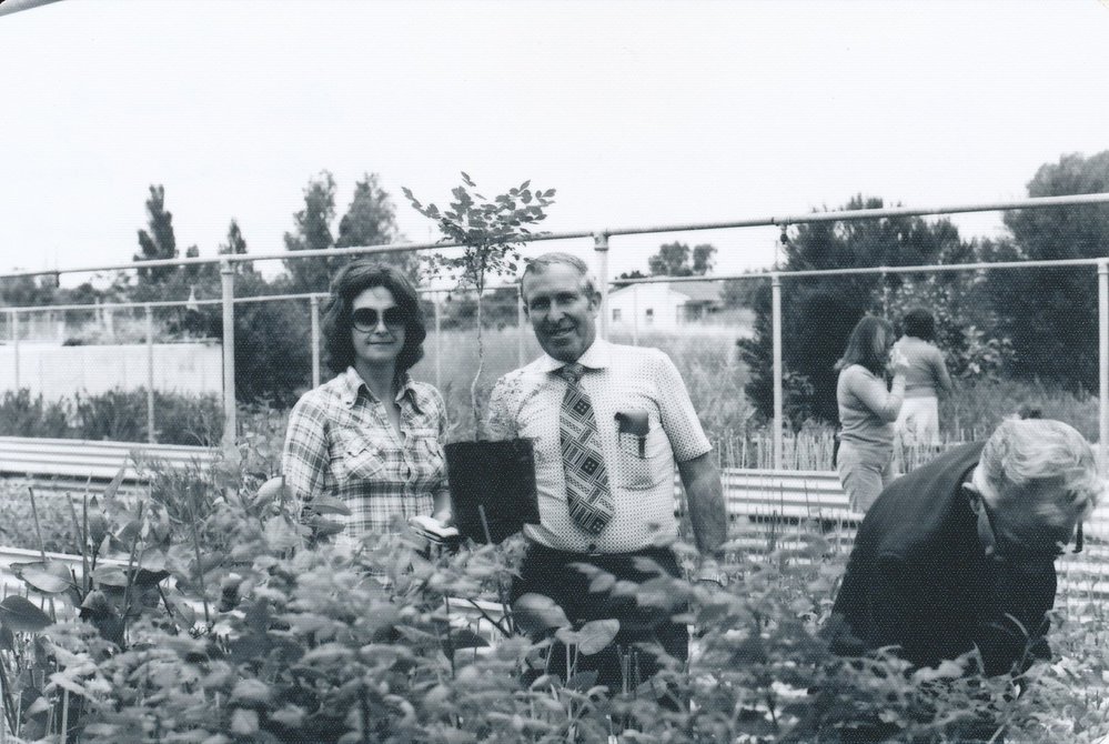 Munno Para Council Nursery