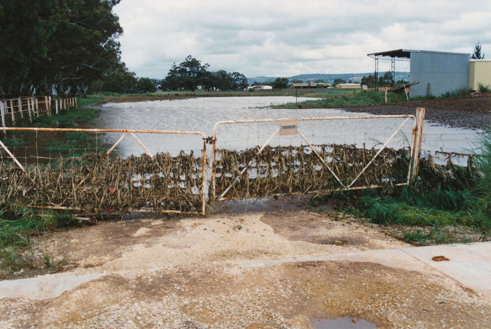 Gawler River Flood
