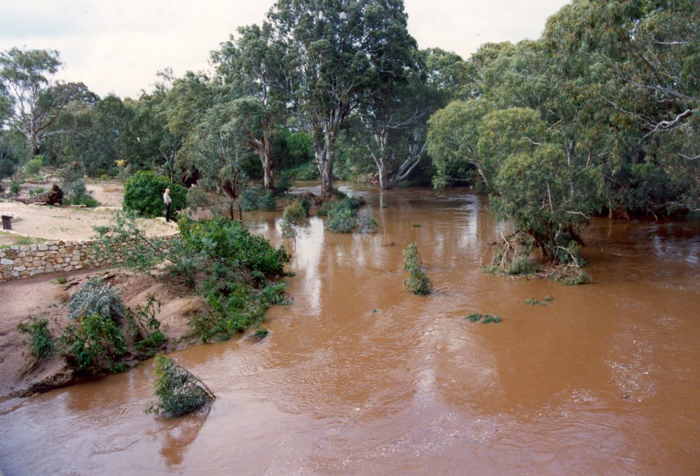 Gawler River Flood