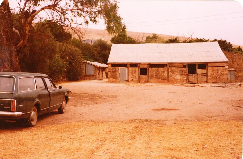 Gould Creek Homestead