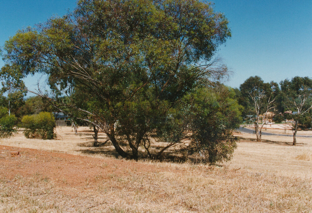Hillbank Land Development